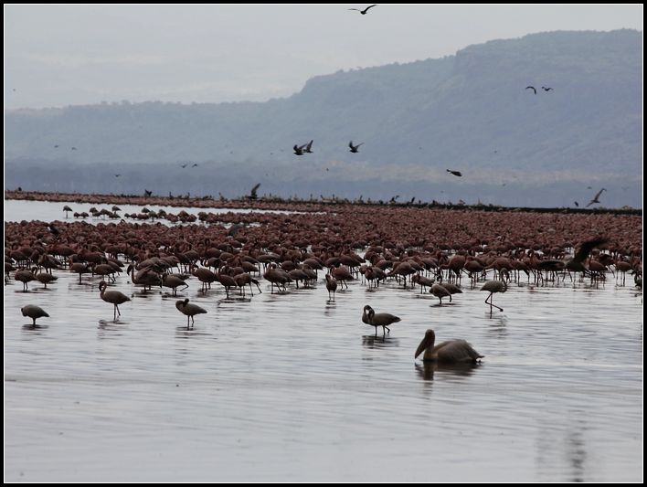 2011��7��28-8��15���� 260.jpg