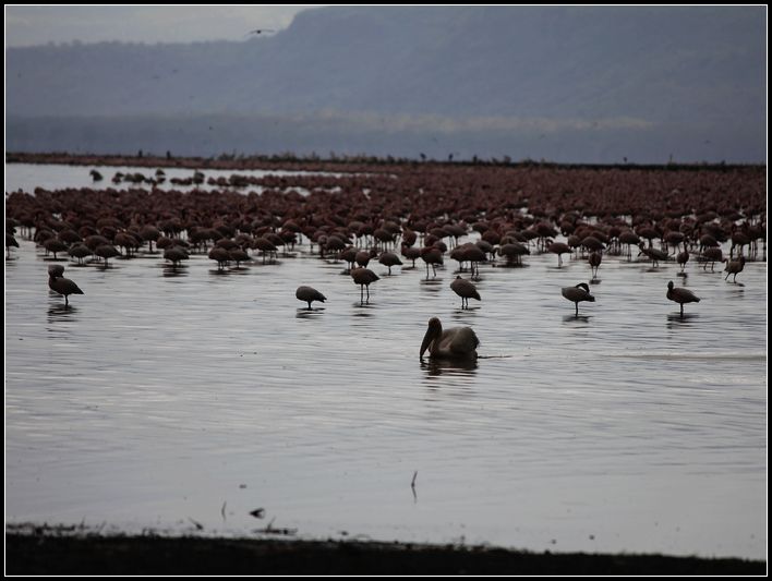 2011��7��28-8��15���� 264.jpg