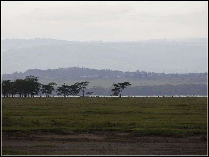 2011��7��28-8��15���� 278.jpg