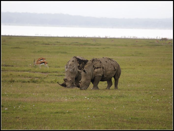 2011��7��28-8��15���� 272.jpg