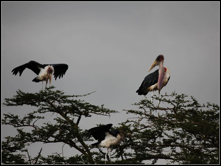 2011��7��28-8��15���� 267.jpg