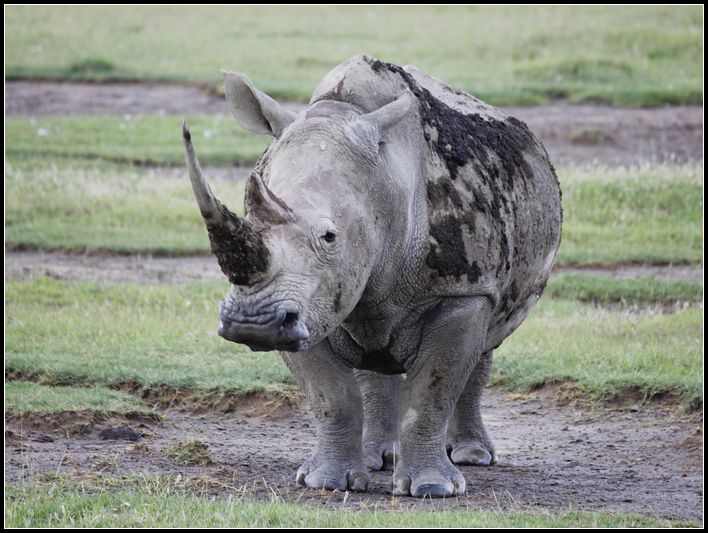 2011��7��28-8��15���� 279.jpg