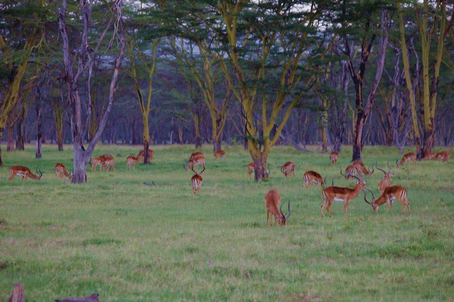 2011��7��28-8��15���� 280.jpg