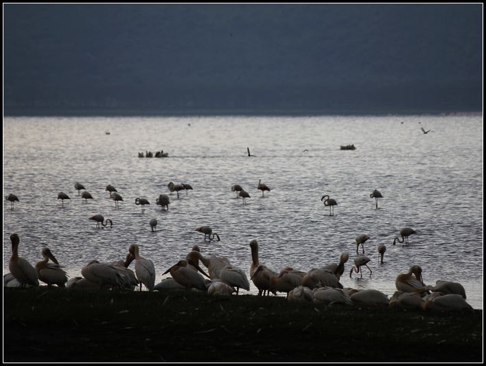 2011��7��28-8��15���� 284.jpg