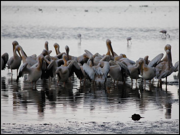 2011��7��28-8��15���� 290.jpg