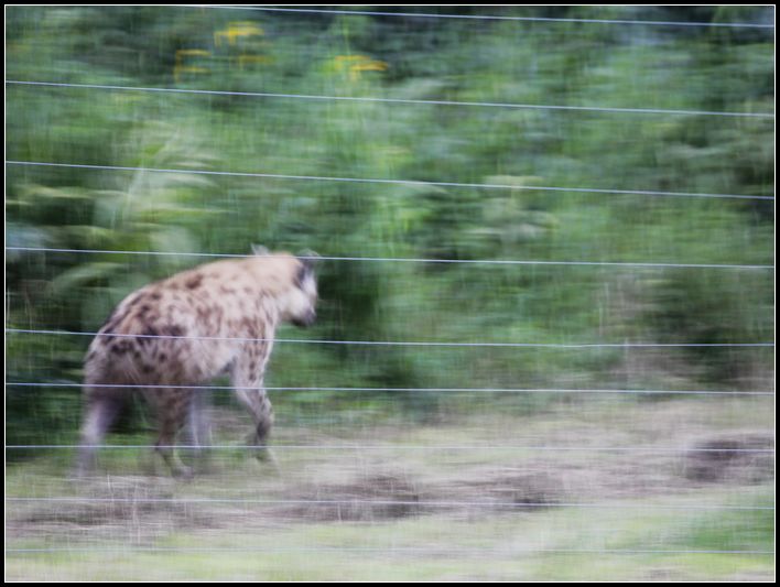 2011��7��28-8��15���� 295.jpg