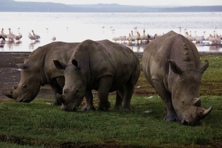 2011��7��28-8��15���� 292.jpg