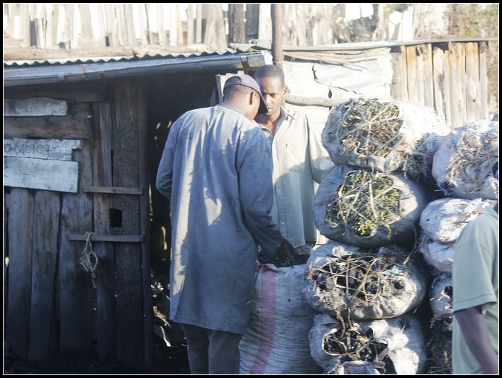 2011��7��28-8��15���� 312.jpg