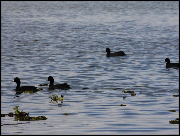 2011��7��28-8��15���� 320.jpg