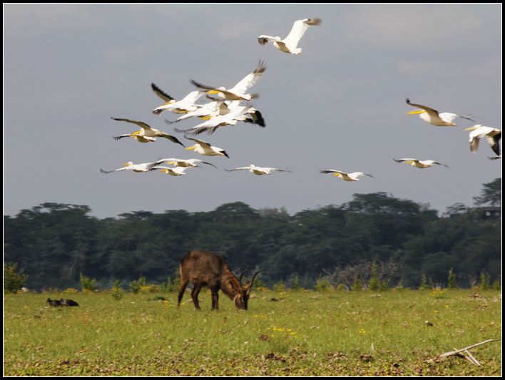 2011��7��28-8��15���� 335.jpg