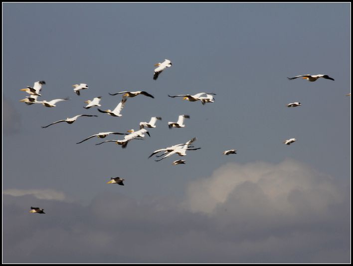 2011��7��28-8��15���� 330.jpg