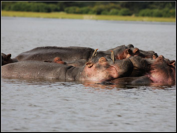 2011��7��28-8��15���� 324.jpg