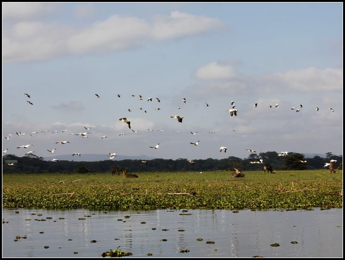 2011��7��28-8��15���� 336.jpg