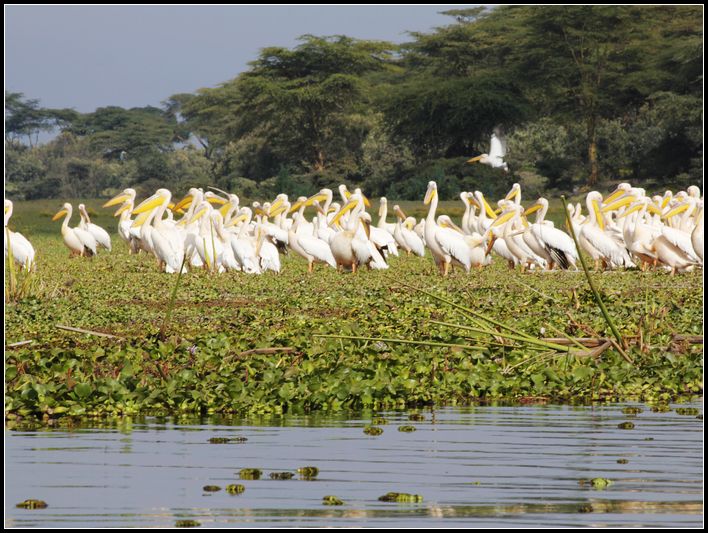 2011��7��28-8��15���� 338.jpg