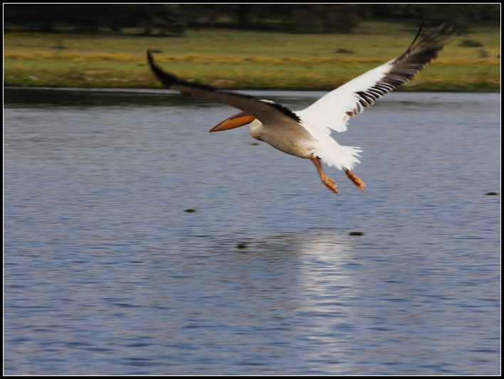 2011��7��28-8��15���� 347.jpg