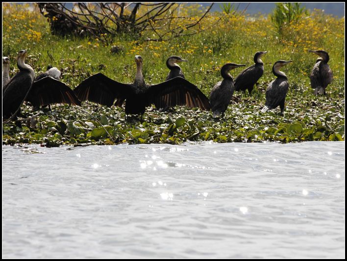 2011��7��28-8��15���� 353.jpg