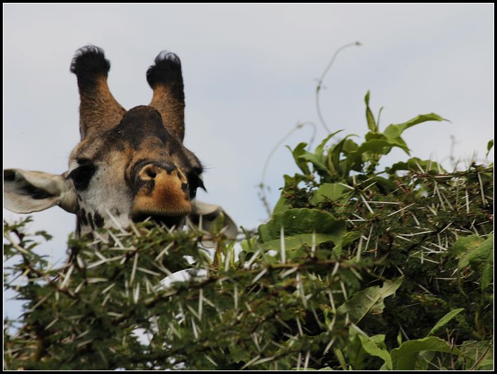 2011��7��28-8��15���� 363.jpg