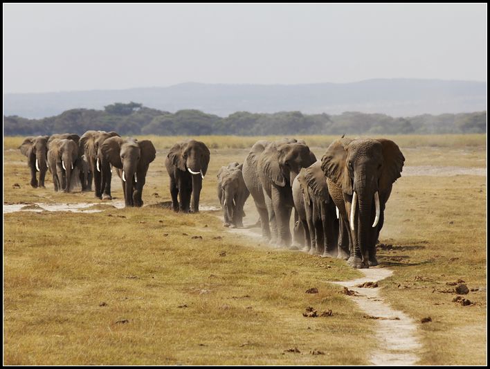 2011��7��28-8��15���� 475.jpg