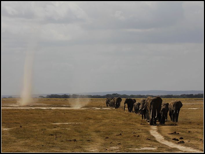 2011��7��28-8��15���� 477.jpg