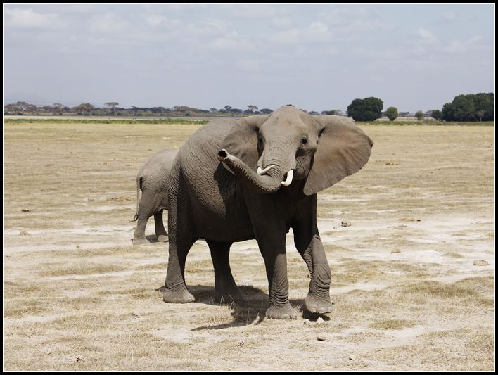 2011��7��28-8��15���� 485.jpg