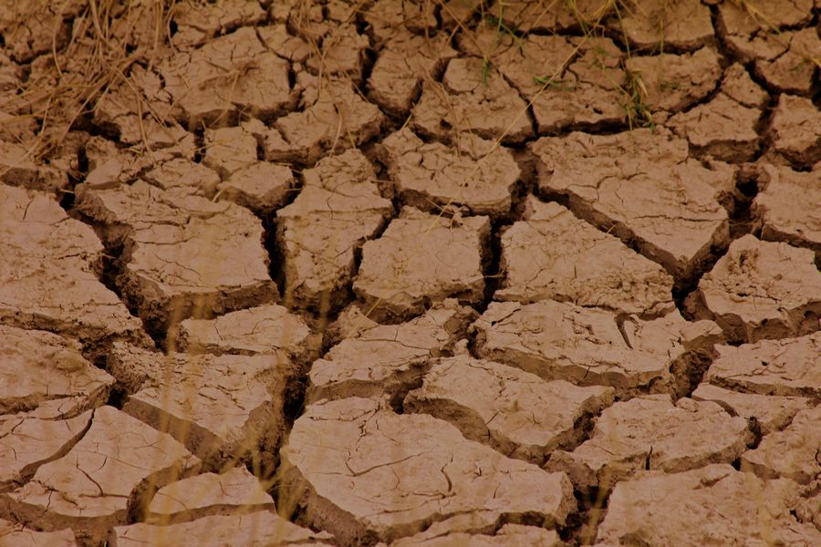 2011��7��28-8��15���� 490.jpg