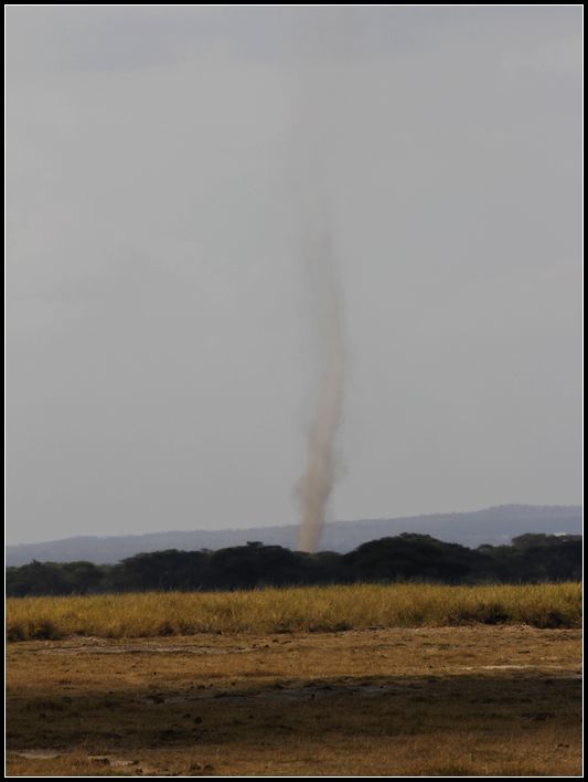 2011��7��28-8��15���� 472.jpg