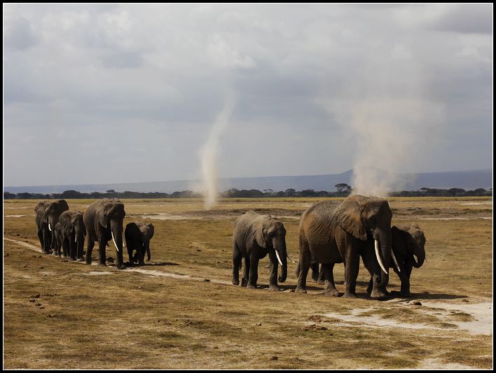 2011��7��28-8��15���� 480.jpg