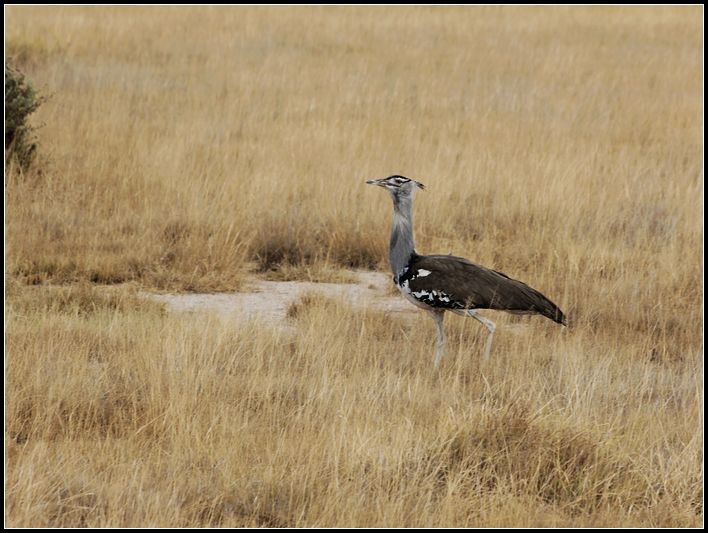 2011��7��28-8��15���� 491.jpg