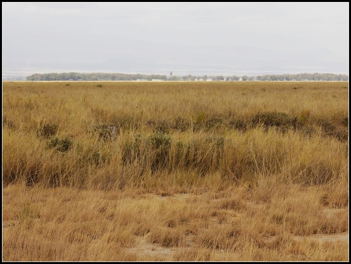 2011��7��28-8��15���� 493.jpg