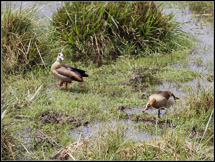 2011��7��28-8��15���� 497.jpg