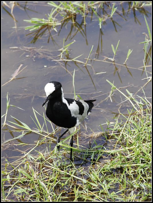 2011��7��28-8��15���� 499.jpg