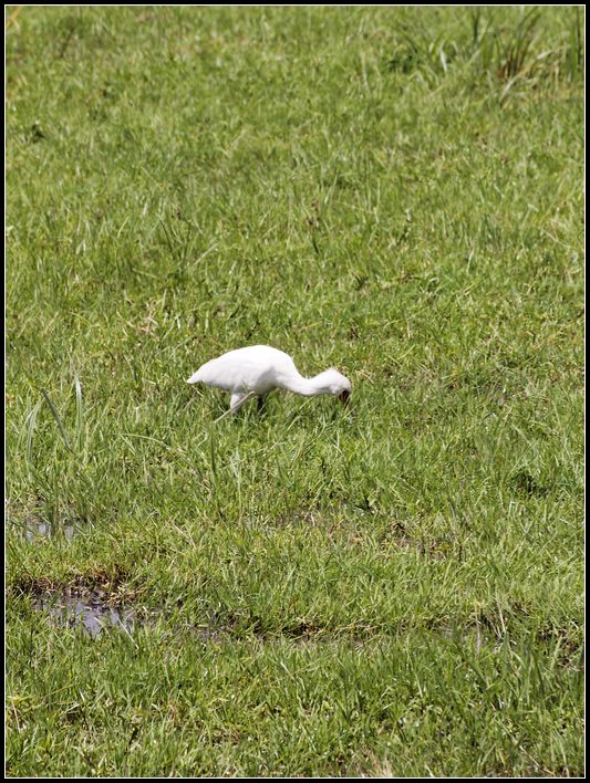 2011��7��28-8��15���� 500.jpg