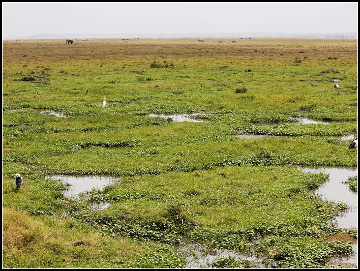 2011��7��28-8��15���� 505.jpg