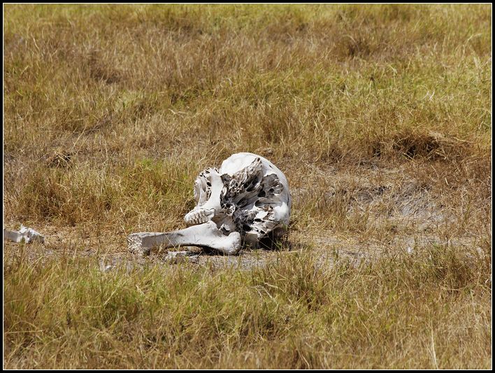 2011��7��28-8��15���� 509.jpg