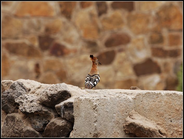 2011��7��28-8��15���� 514.jpg