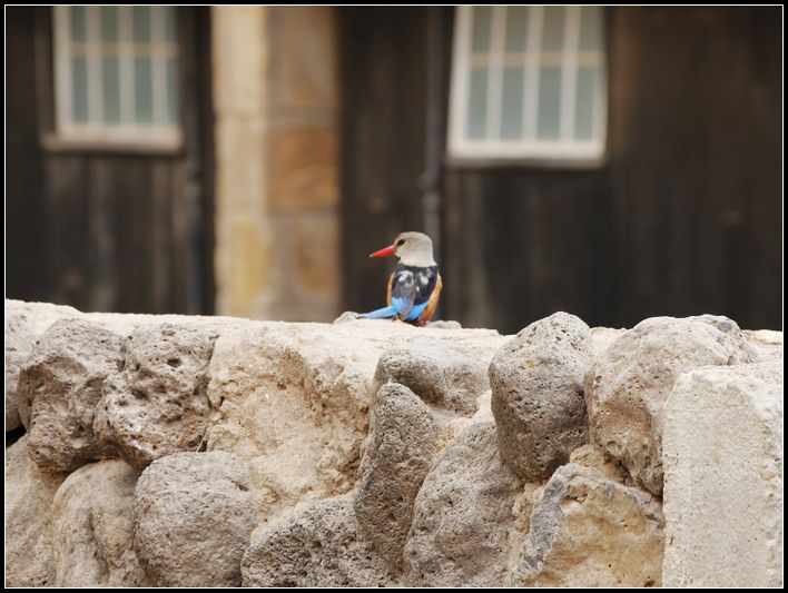 2011��7��28-8��15���� 515.jpg