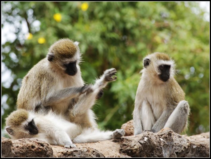 2011��7��28-8��15���� 524.jpg