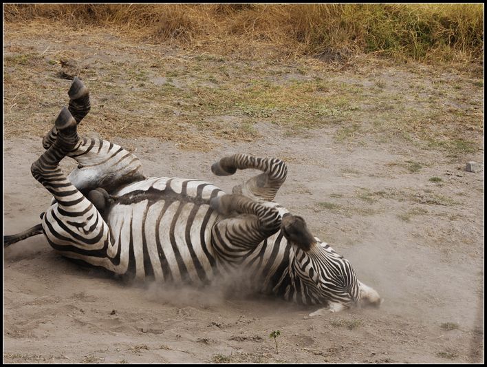 2011��7��28-8��15���� 548.jpg