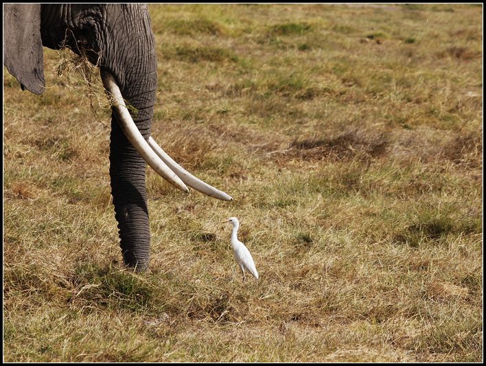 2011��7��28-8��15���� 554.jpg