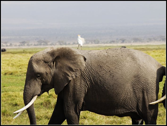 2011��7��28-8��15���� 557.jpg