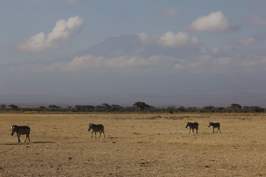 2011��7��28-8��15���� 588.jpg