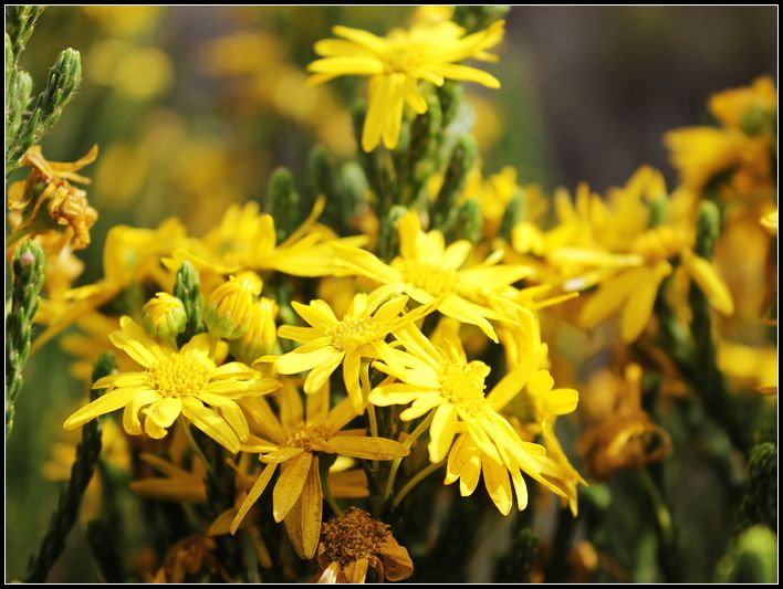 2011��7��28-8��15���� 661.jpg