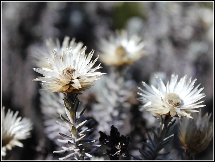 2011��7��28-8��15���� 659.jpg