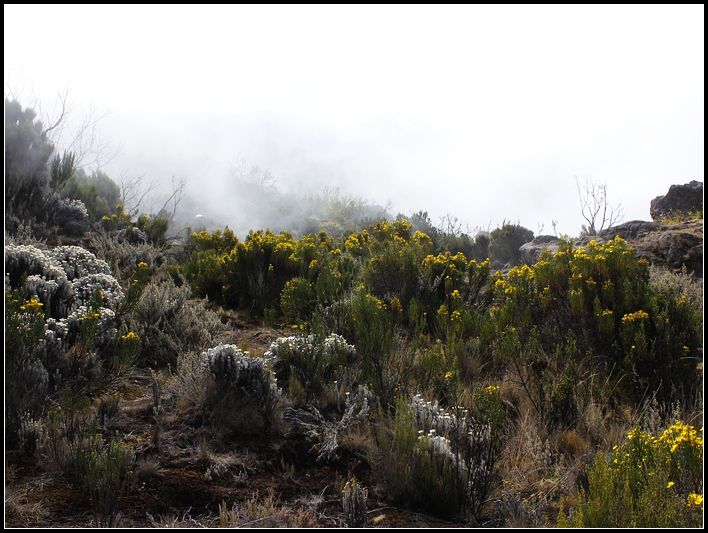 2011��7��28-8��15���� 663.jpg