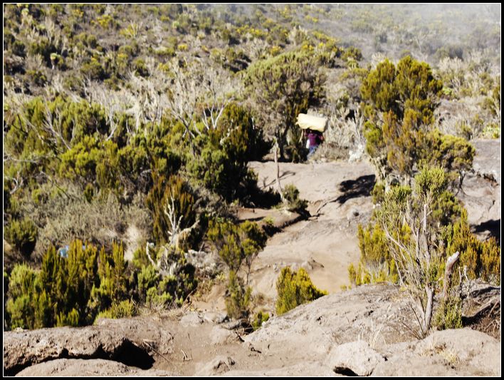 2011��7��28-8��15���� 672.jpg