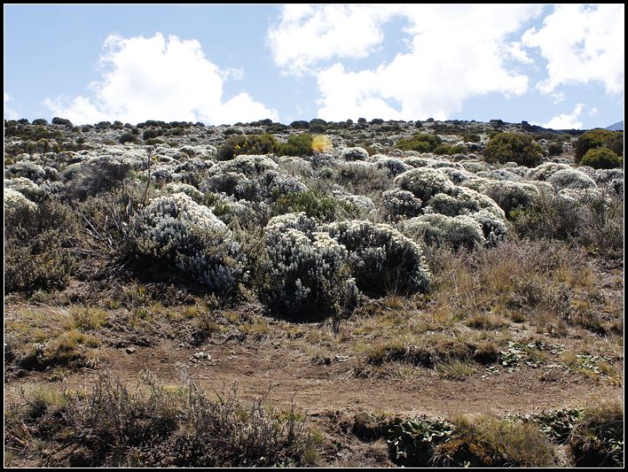 2011��7��28-8��15���� 673.jpg