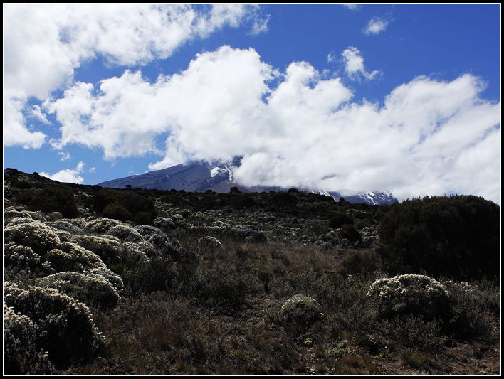 2011��7��28-8��15���� 674.jpg