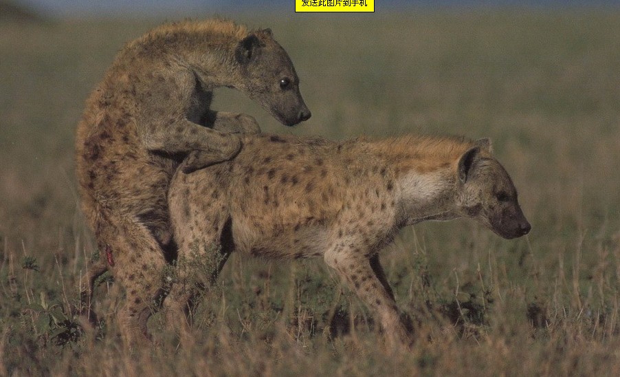 ??????????????????????