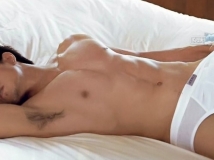 �����Ķ�ʮ�ֵ�˧��