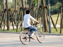 ��������~~����������������ʵ�İ�~~